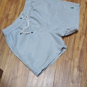 Ralph Lauren Men's Blue And White Striped Swim Trunks with Green Logo